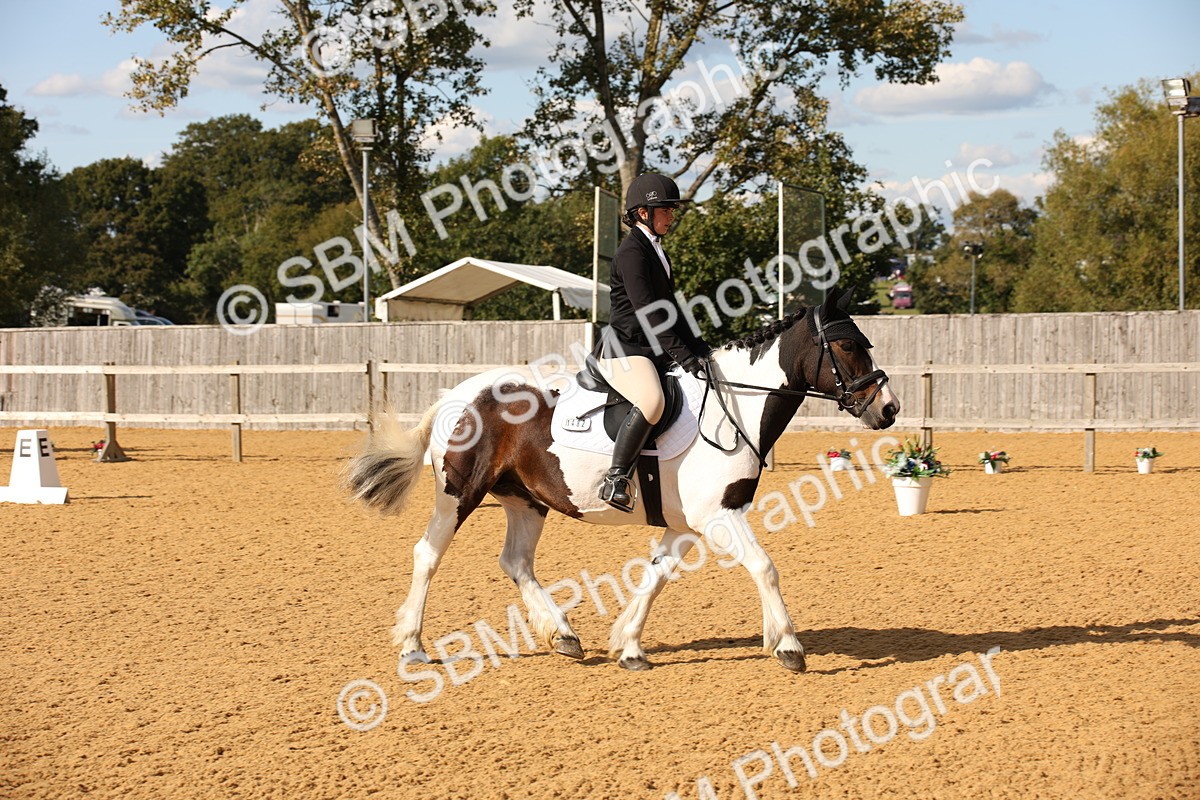 SBM_28164 - D11 - Small Tour Championship - Prelim 13