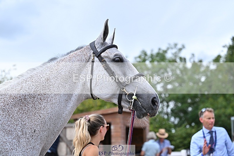 250716-131537-00413 - Trot Up 12.30 to 1.30