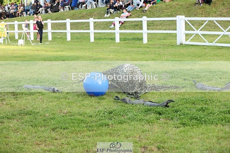 240711-200428-30679 - Cls 210 Jolly Jumps Run and Run