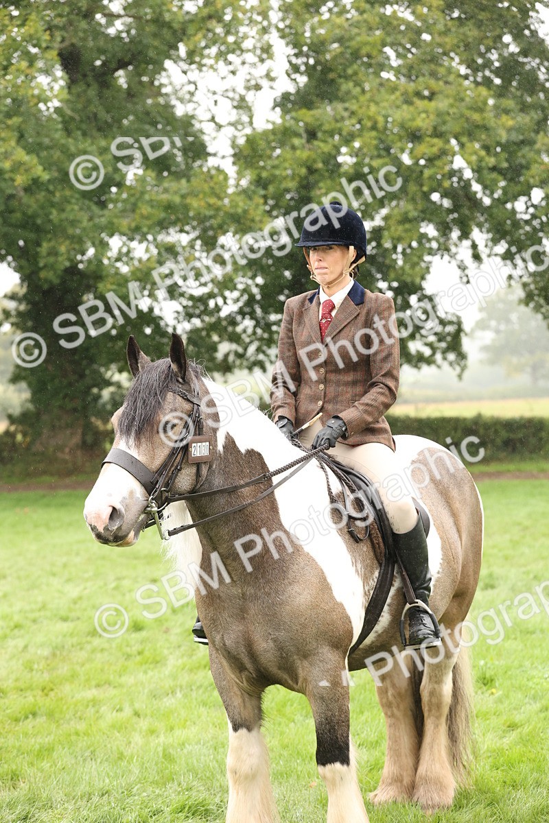 SBM_72797 - S70 - Traditional Cob Ridden