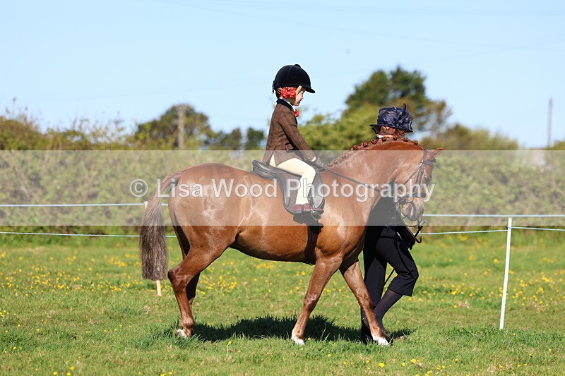 3E7A8472 - Class 2: Lead rein