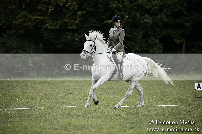 BVR080918 362 - BVRC Novice Dressage & CR 08/09/18