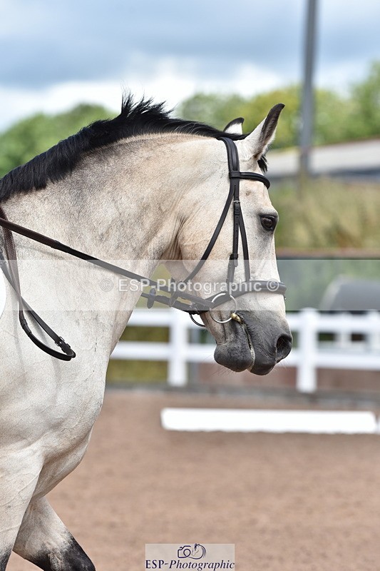 240706A-123322-02309 - Cls 3D Jnr Novice 24