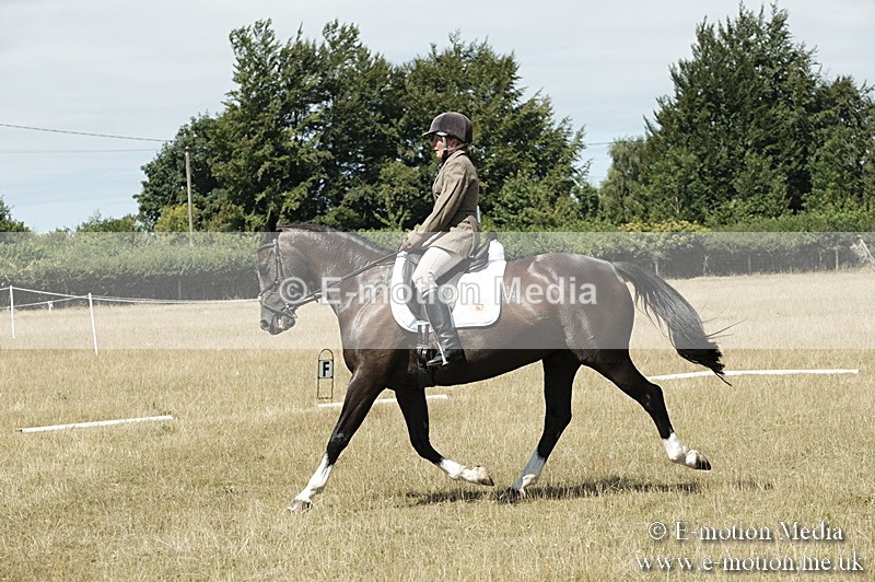_PJP5871 - Dressage Classes BVRC Show 2018