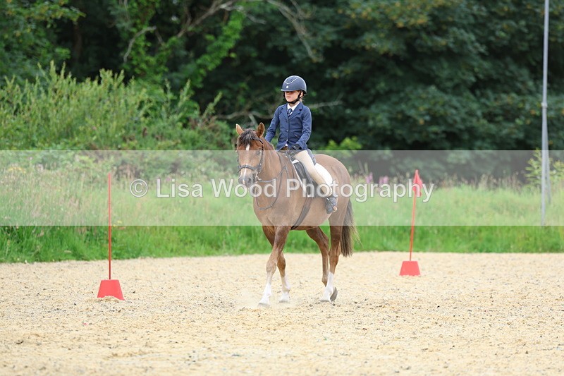 3E7A9538 - Walk trot run