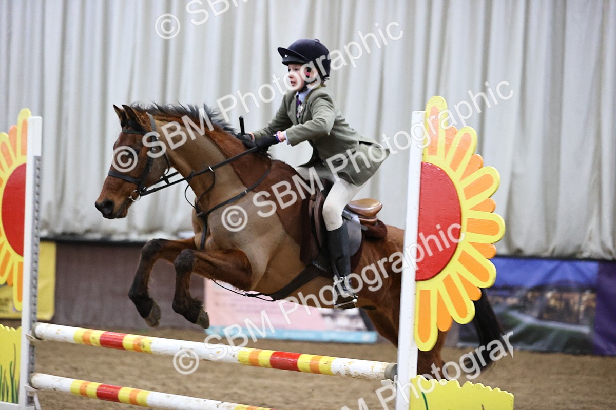 SBM_000254 - Class 2 - Pony British Novice - 80cm