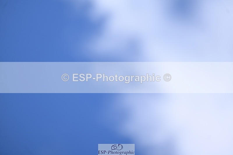 240809-162559-02384 - Preliminary Gold