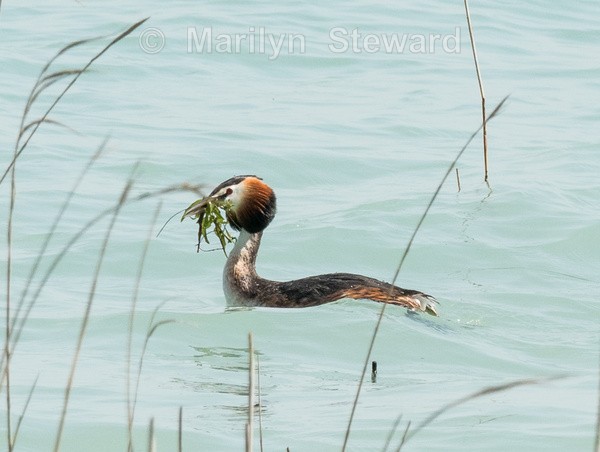 Lake Garda-4 - Lake Garda, Verona and Venice