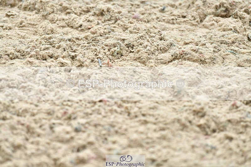 230721A-131044-06482 - Cls 14, 1 Star Bronze 1.10m