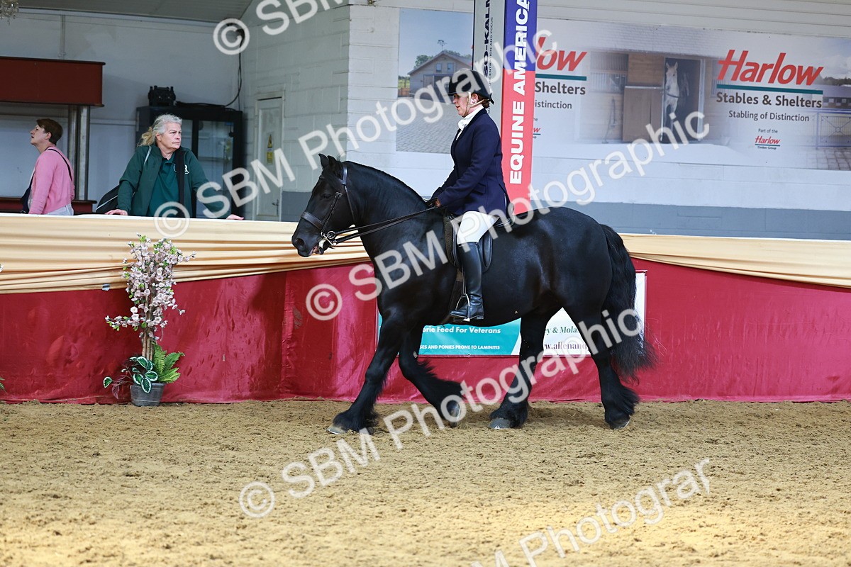 SBM_23352 - class 906 - Supreme Final - Ridden Pre Vet