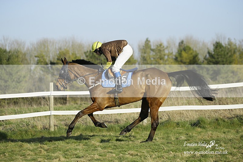 PtP 270222 493 - South & West Wilts Point-to-Point Larkhill 27/02/22