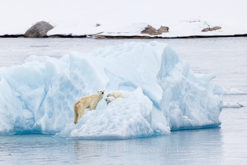  - Svalbard