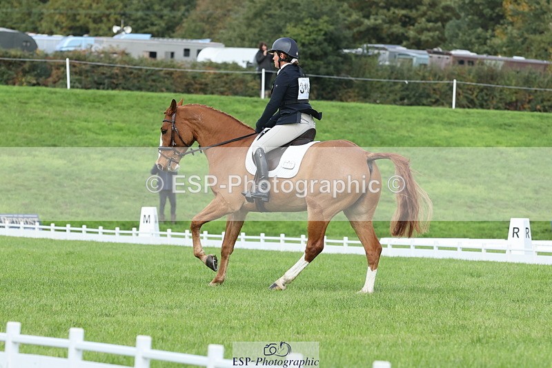 251023A-105024-03243 - D-310-Emily.R.Vincent