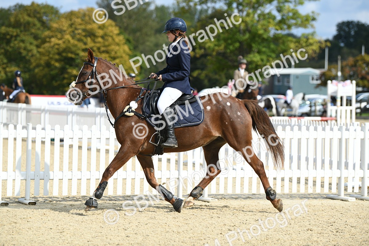 SBM_61835 - j25 - Junior Horse 80cm Championship