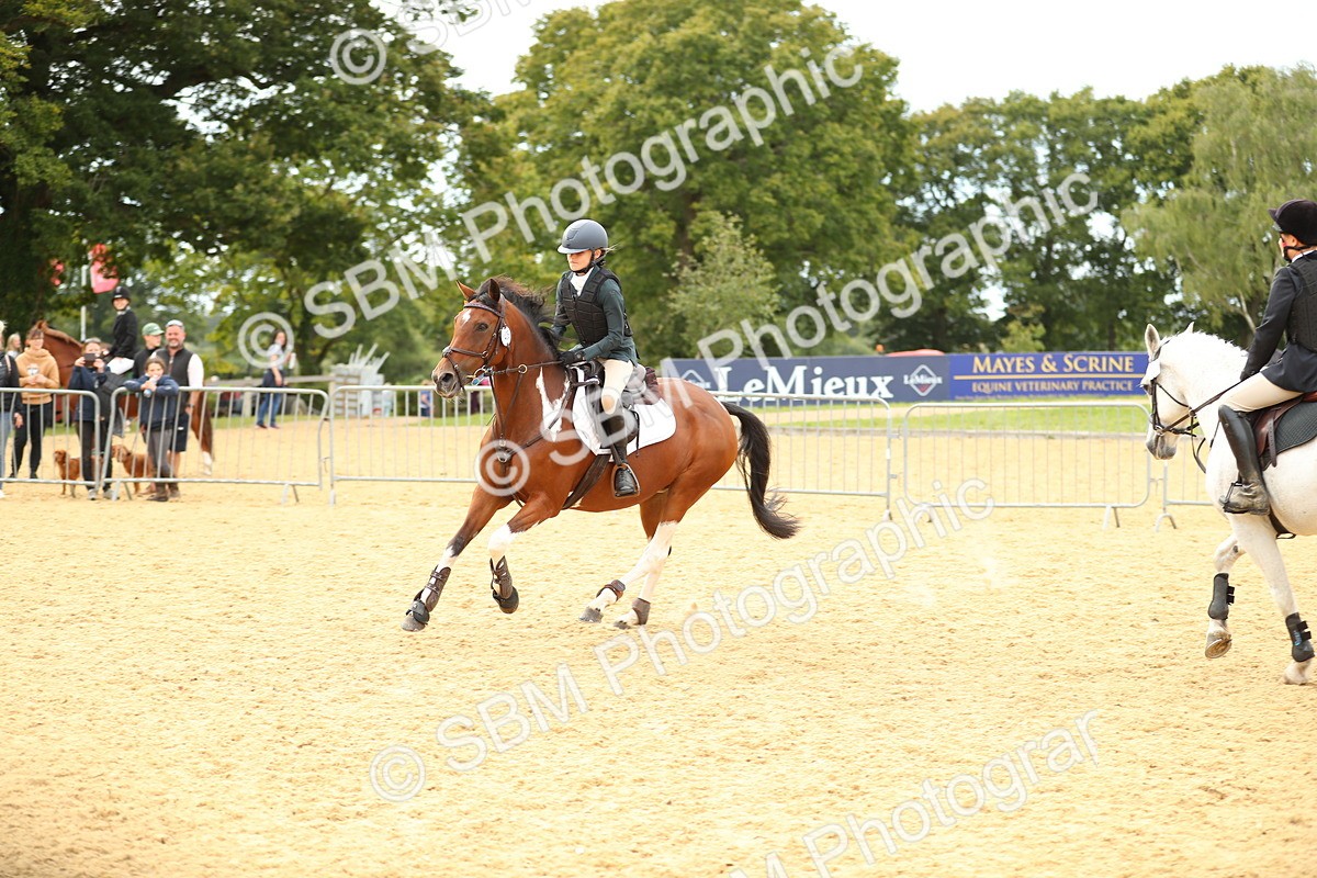SBM_71376 - J18 - Junior Pony 85cm Championship