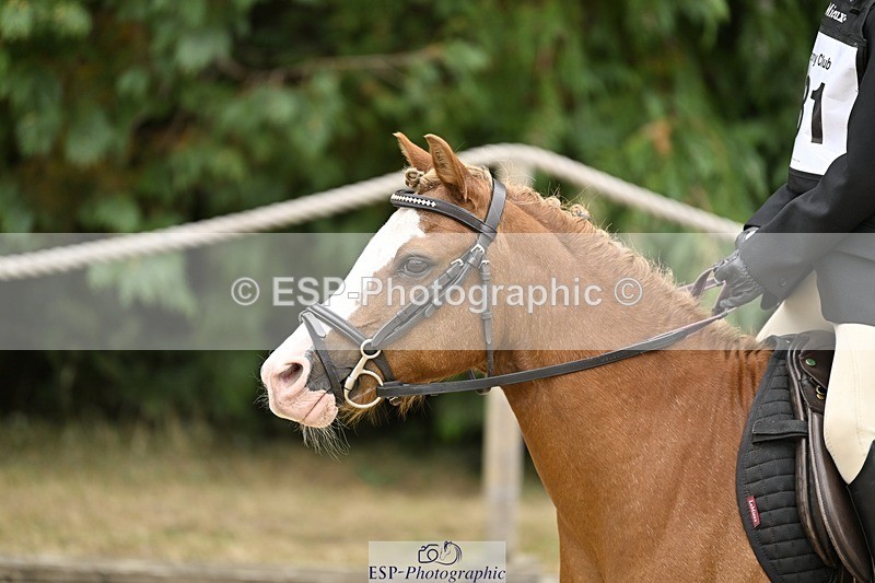 250820A-114929-03876 - Round 1, 11am to End