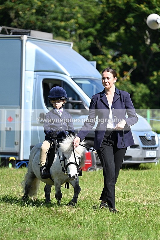 WJ7_0711 - Class 8 First Rally Pony