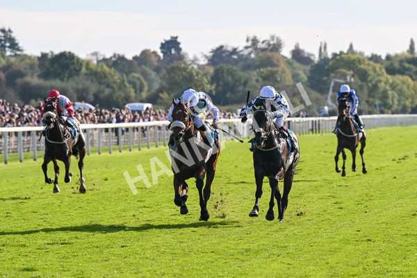 111025-Race 3-Laazm-8577 - Race 3 Coral 'Daily Reward Shaker' For Free Nursery Handicap at York