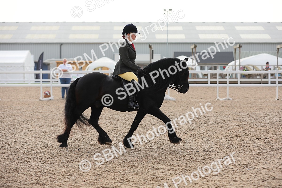 SBM_10041 - Class 302 Ridden M&M -Large Breeds