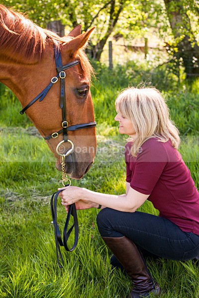IMG_3421 - Equine Gallery Portfolio