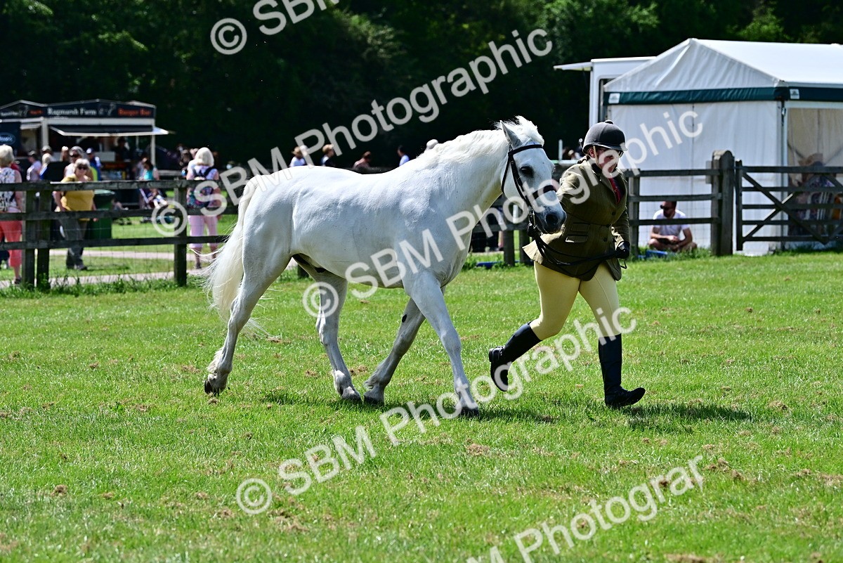 SBM_03855 - Class 58 - TSR  Ridden Veteran Amateur of the year