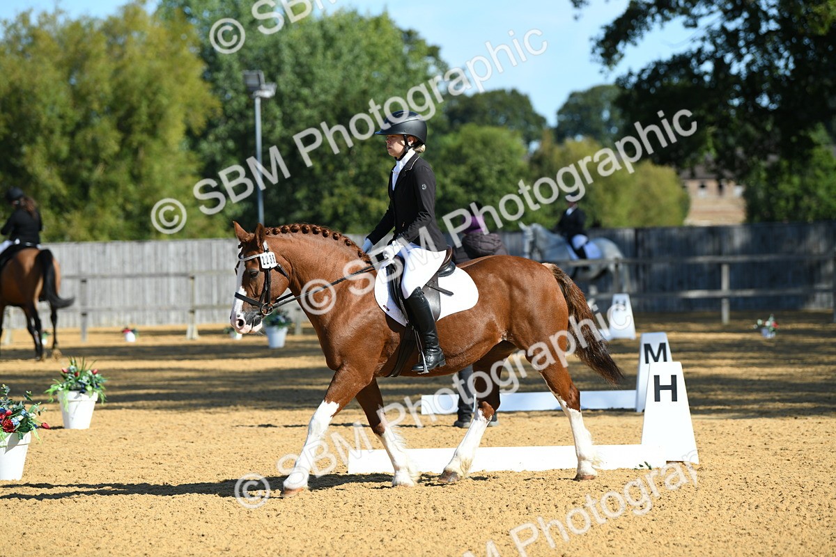 SBM_18030 - D4 - Small Tour Championship - Intro B