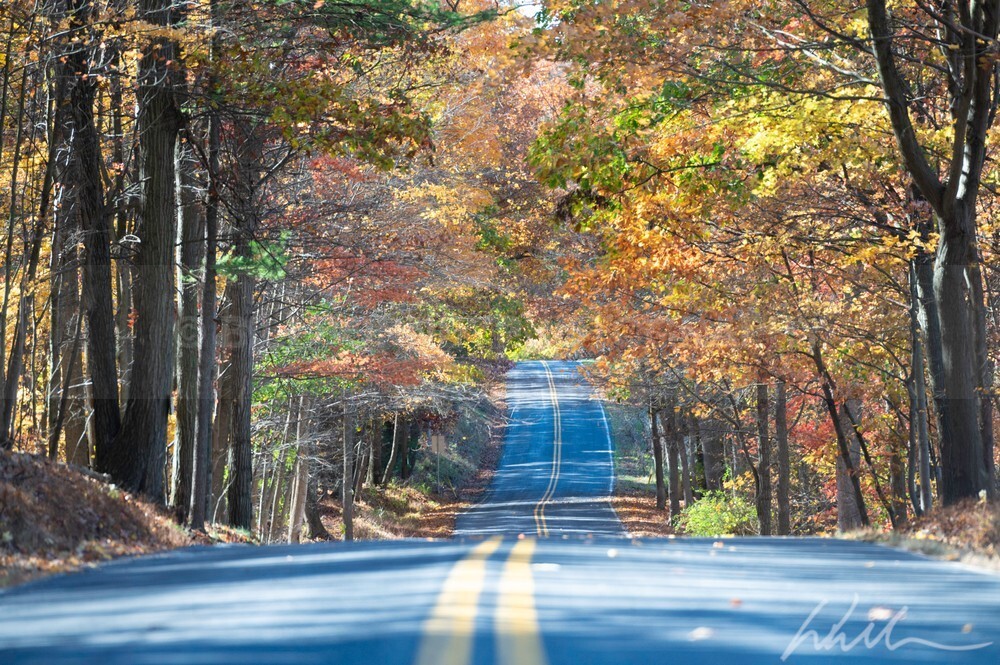 DSC_8009 - Autumn