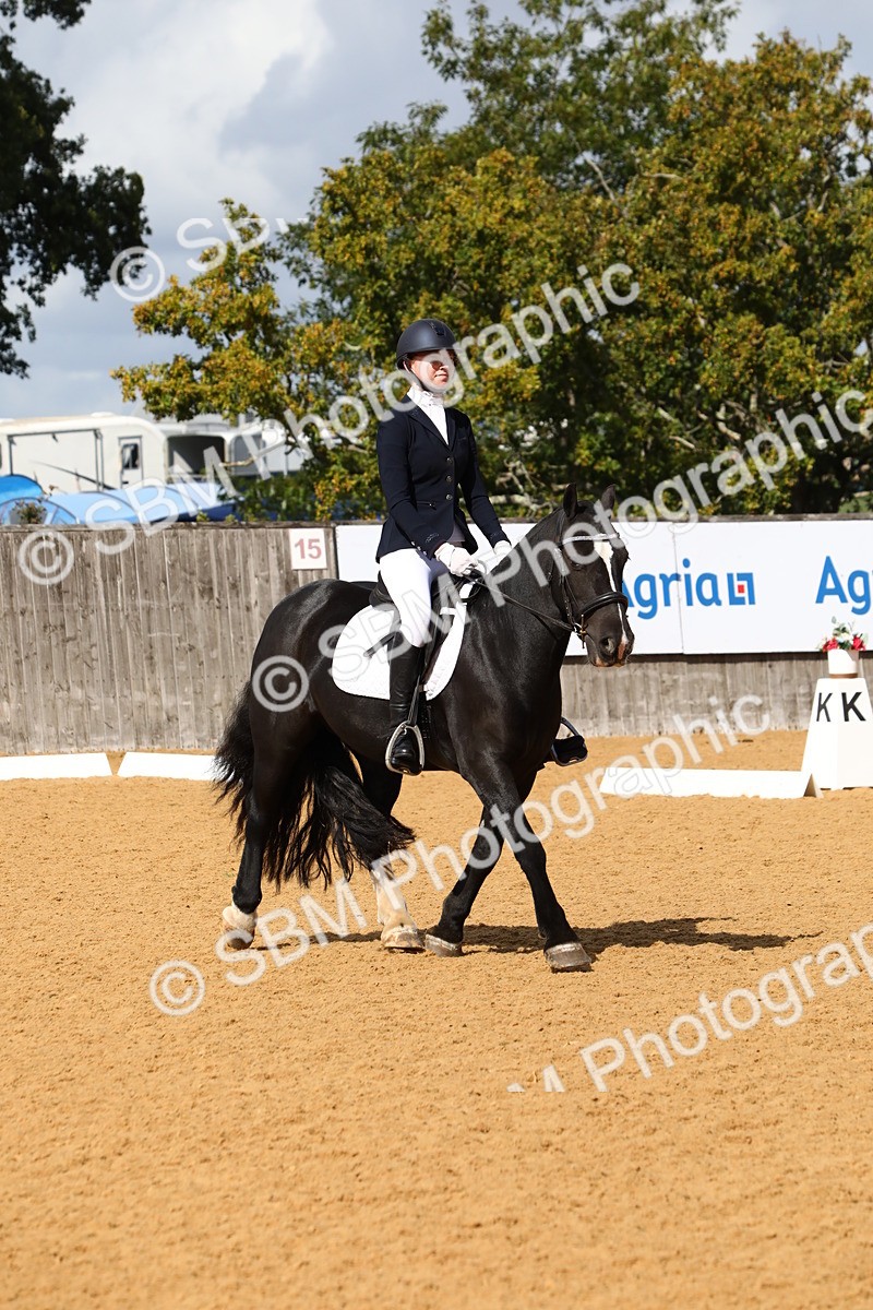 SBM_20821 - D5 - Small Tour Championshop Intro 2