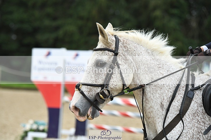 231001-160657-03341 - Cls 4 1m