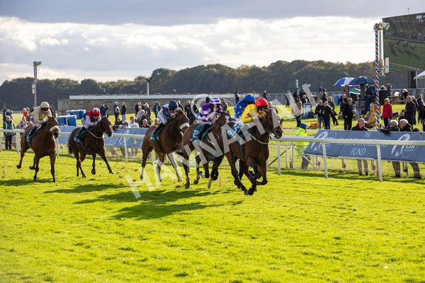 111024-Race 5-Vince LAmour-6958 - Race 5 3.45pm Copper Knight - Winning Most Horse At York Handicap