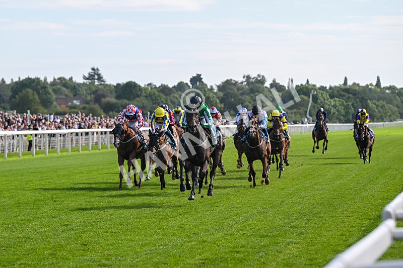 060926-Race 4-Stoneacre Donny-8012 - Race 4 3.15pm Saltmoore Collection Handicap
