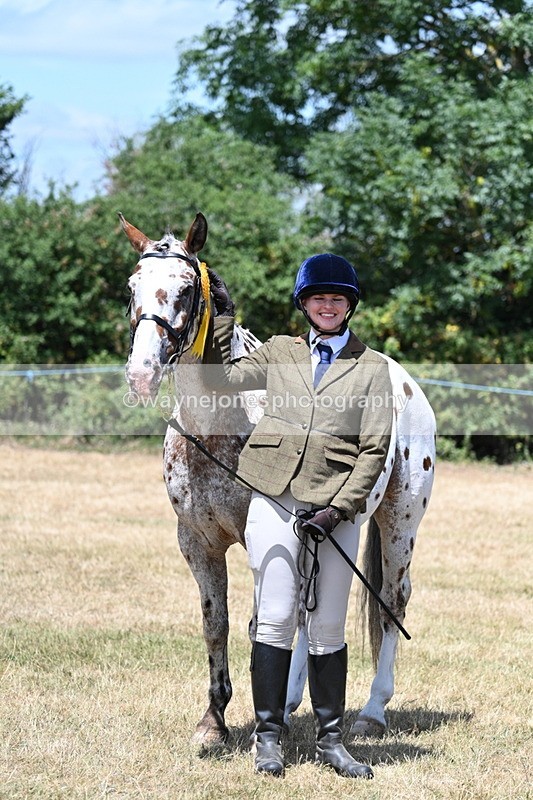 WJ7_2459 - Class 5a Most Handsome Gelding in hand (above 14.2hh)