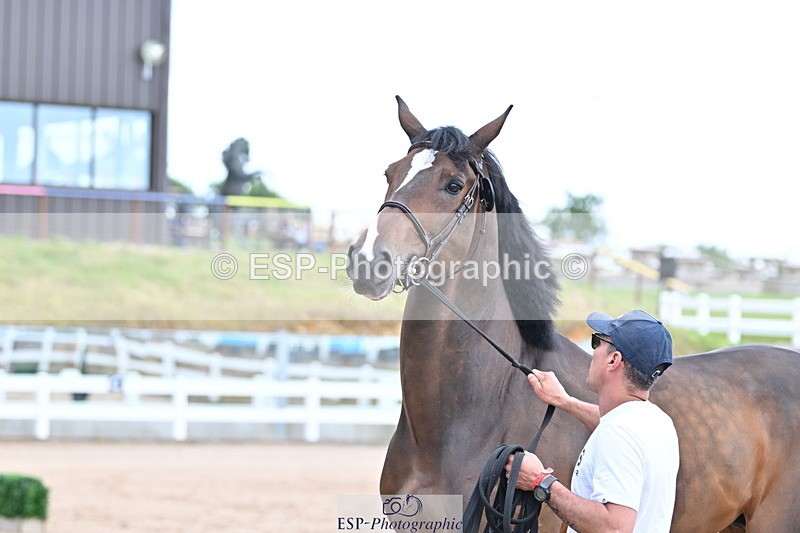 240717A-142210-02059 - Trot Up 2pm to 3pm - This folder is not in time order