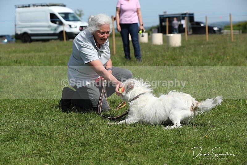 SPXX0606 - Dog show