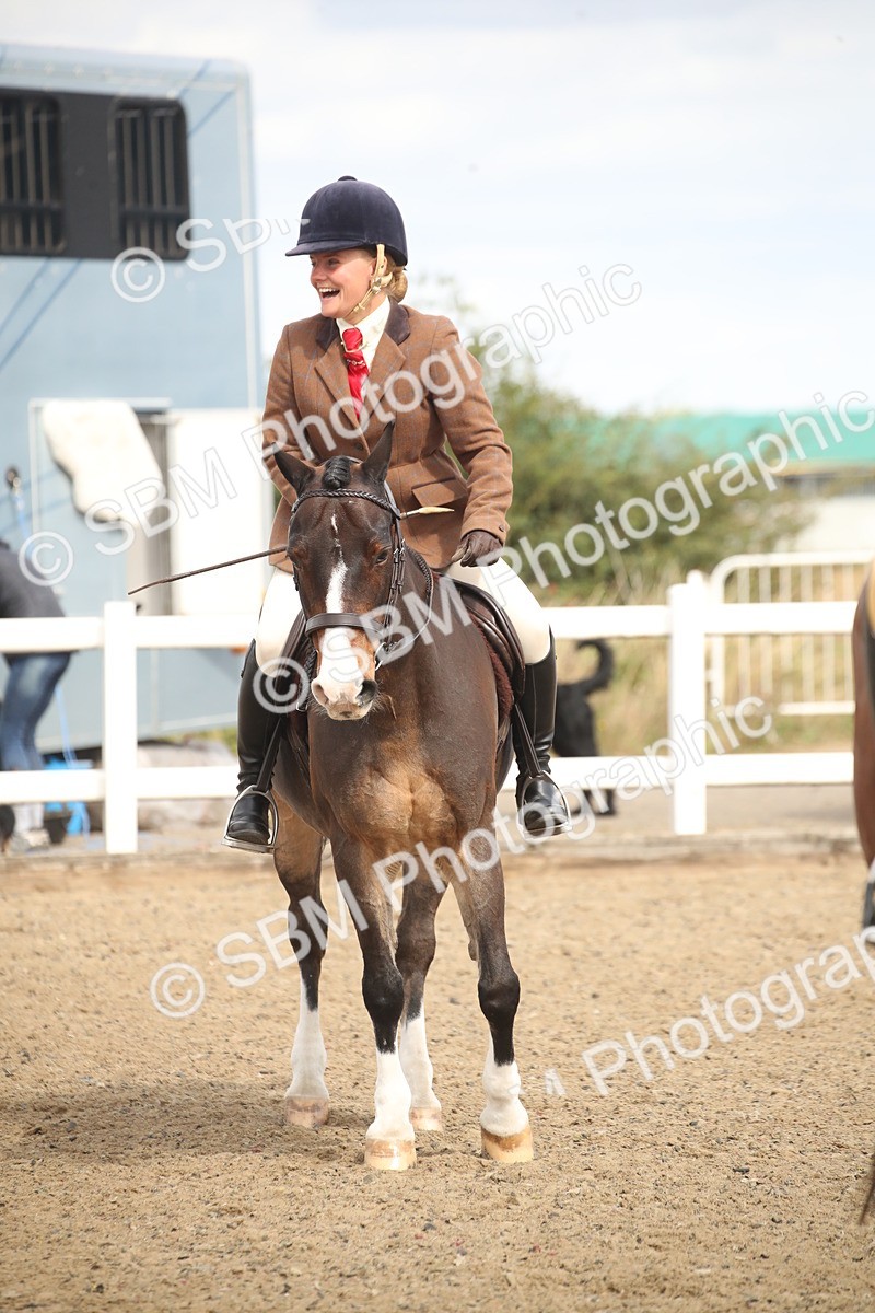 SBM_16550 - Class 506b - Working Veteran - 50cm (20+)