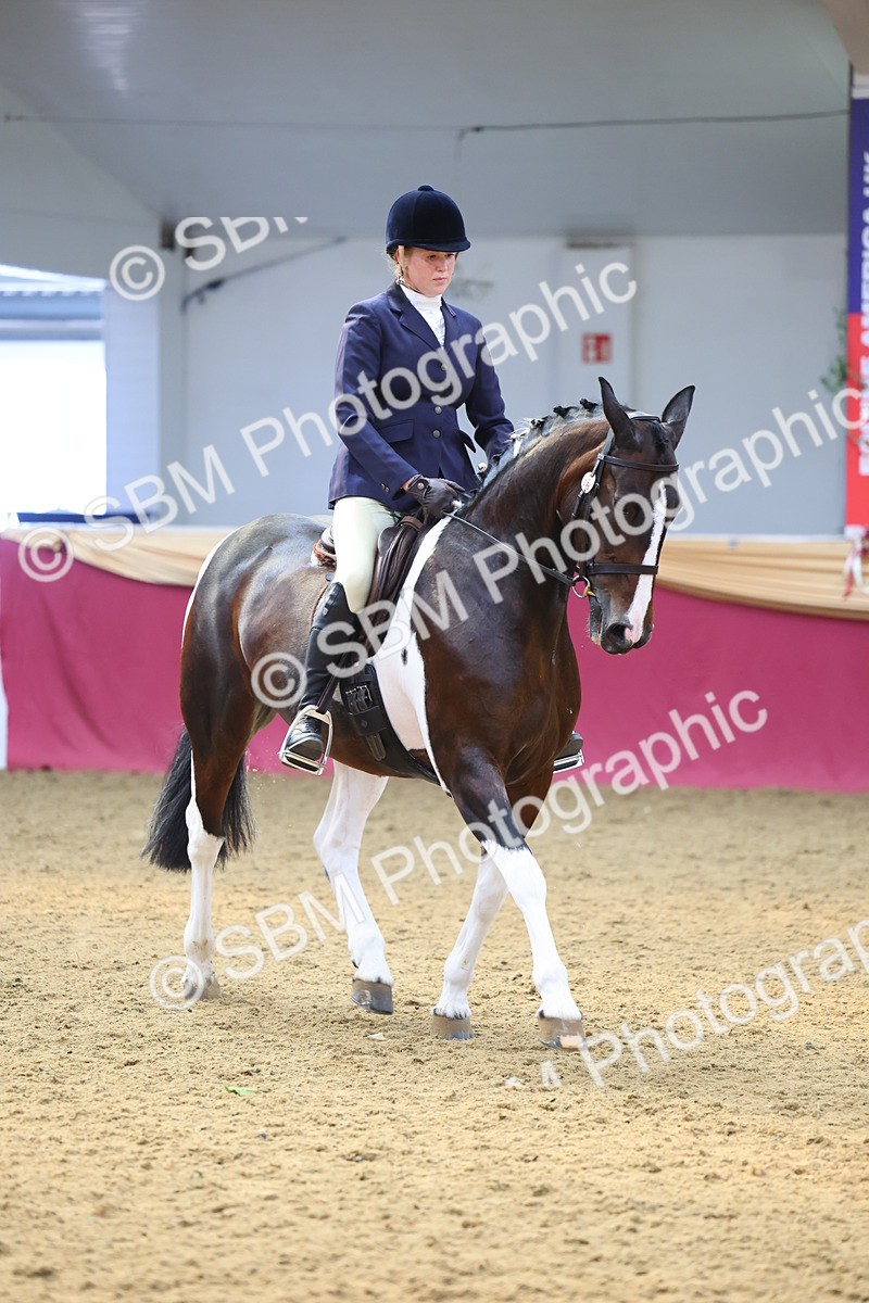 SBM_24639 - Class 906 - Supreme Final - Ridden Pre Vet