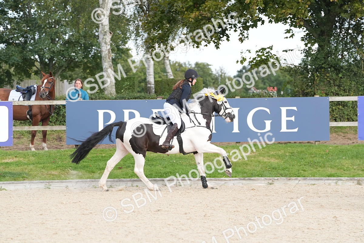 SBM_48913 - J22 - Junior Horse 65cm Championship