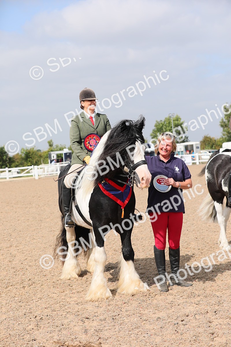 SBM_12841 - Class 307 Ridden Coloured Pony