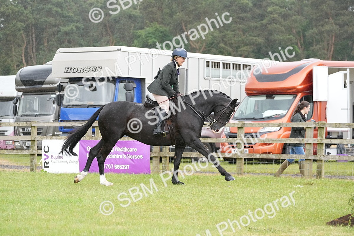 SBM_12826 - Class 97-98 - LIHS BSHA Rising Star Working Show Horse Hunter