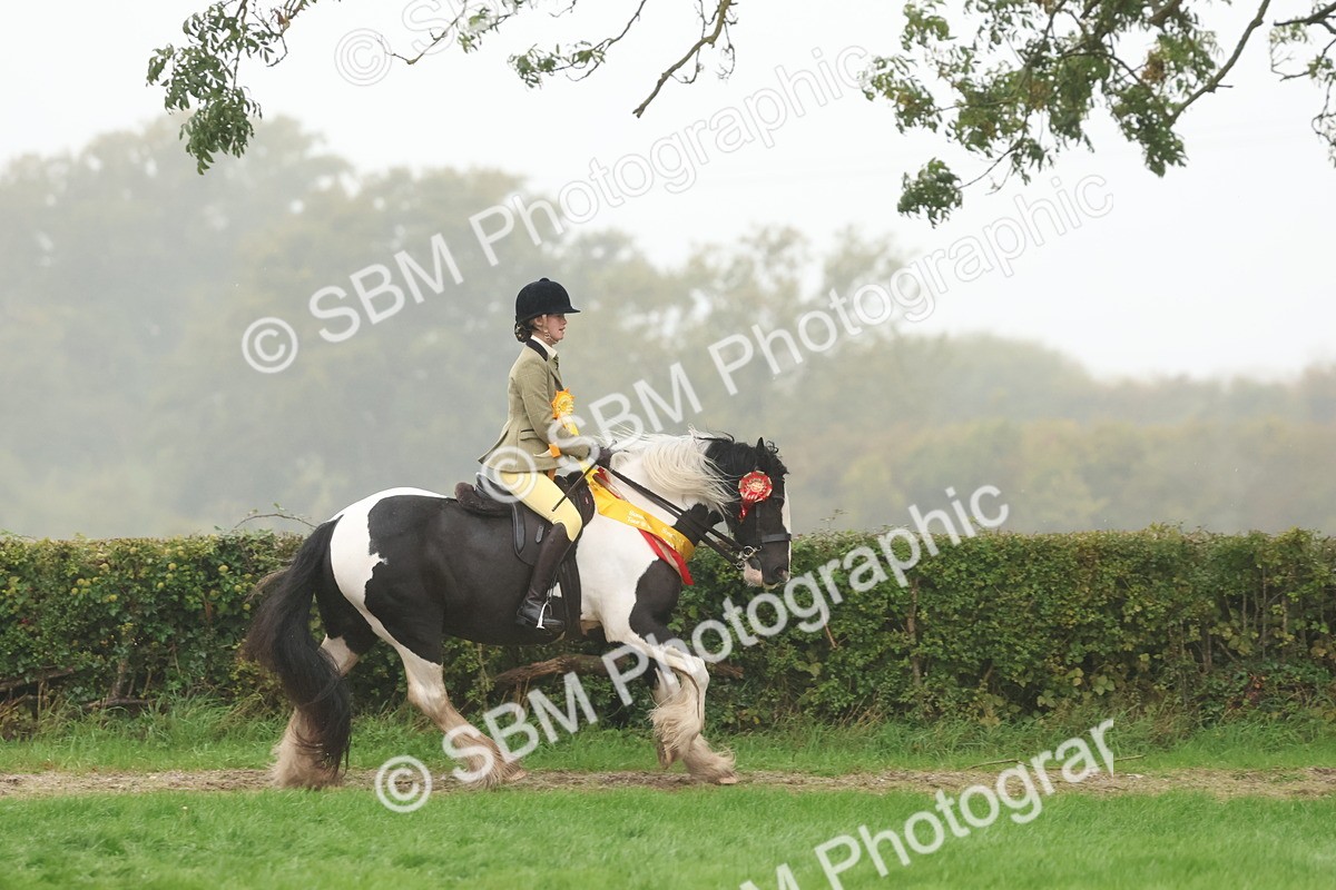 SBM_73215 - Super Supreme Championship(Sun)