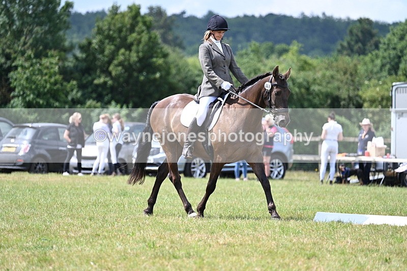 WJ7_4857 - Time 11:22 to 11:51