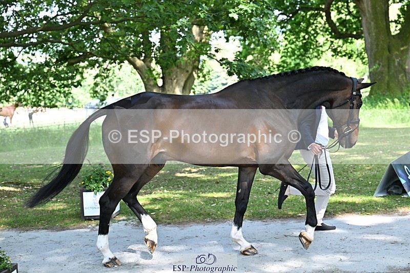 250521A-155037-00795 - B-372-Stephen.Heal-HISCO