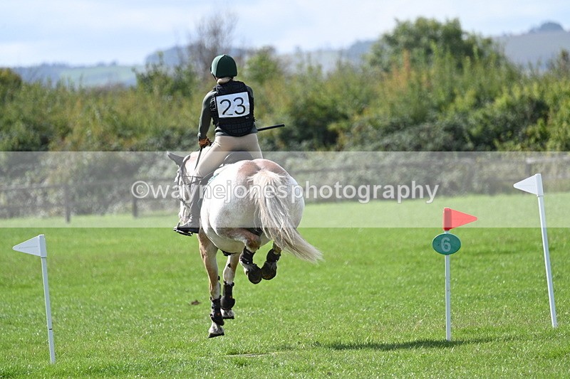 WJ7_8999 - Time 11:10 to 11:53