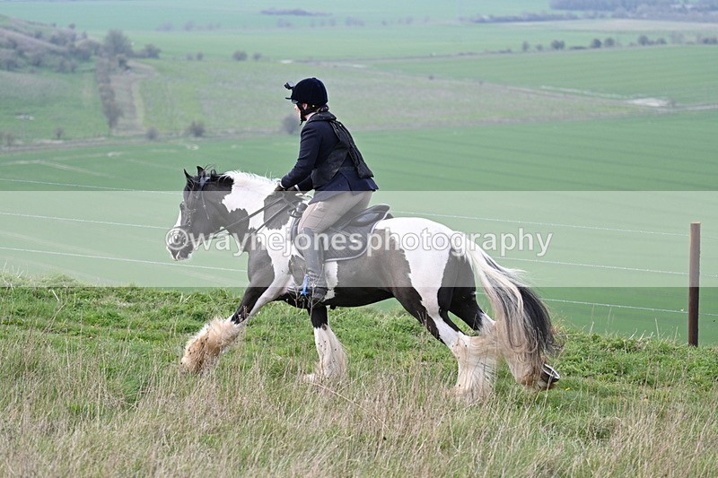 WJ7_8219 - Line 2 A camera