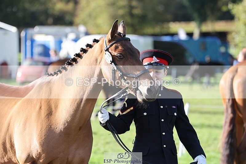 241027-101634-15781 - 516-L.Bdr.Ellie.Mitchell-MICRON.JOY