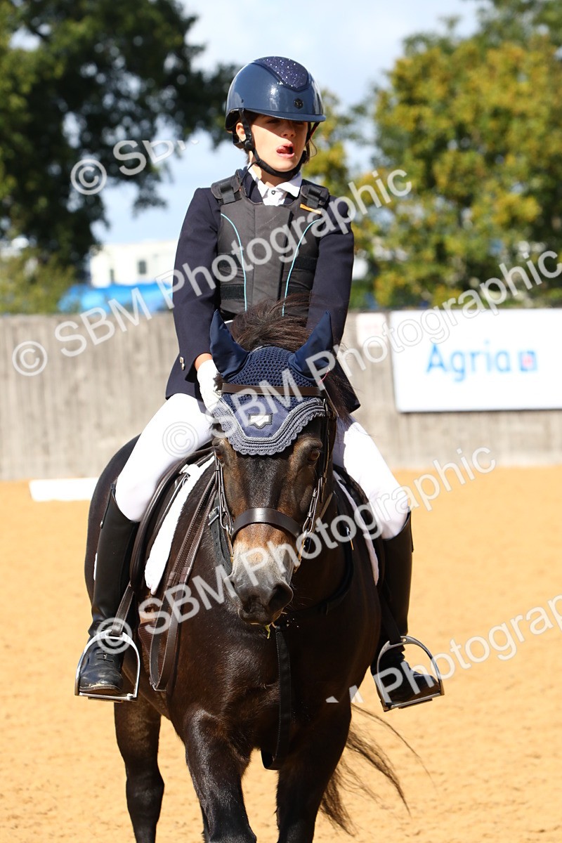 SBM_20791 - D5 - Small Tour Championshop Intro 2