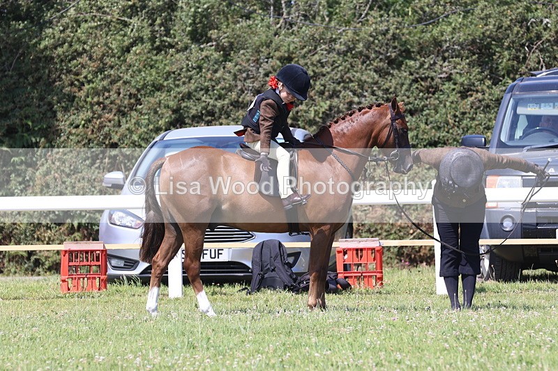 JPP_2299 - Class 20: Tiny Tots Working Hunter Pony