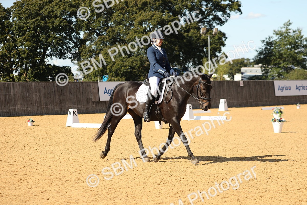 SBM_24477 - D17 - Grand Tour Championship - Novice 27