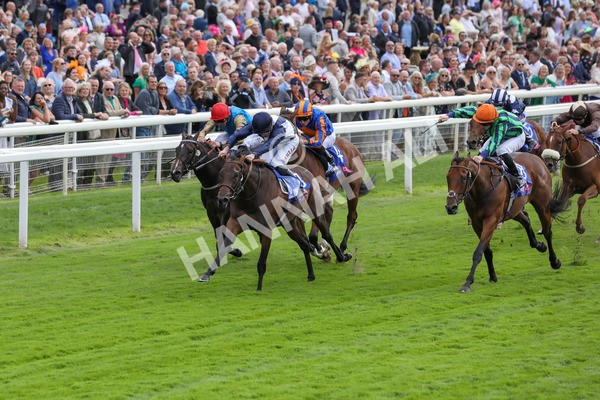 220824-Race 1-Celandine-7600 - Race 1 1.50pm Sky Bet Lowther Stakes