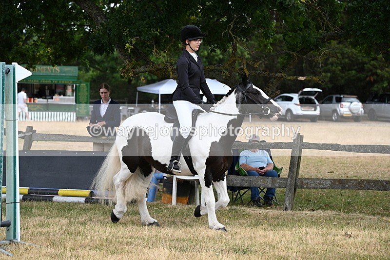 WJ6_3904 - Class 9 Tack & Turnout